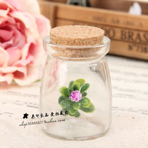 Photo background cloth Furnishing Shooting Props Movie House Photography Assistance Props Xu May Bottle Glass Bottle Adrift Bottle Drifted Bottle