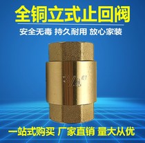 Vertical check valve all copper thickened water pump water pipe water meter check valve spring check valve 4 points dn15 6 points 1 inch