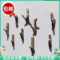 Coat hook wall hanging solid wood wall door back hook Solid wood creative coat hang solid wood creative hanger shelf