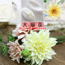 High simulation hand-turned sugar clay stainless steel food silicone dahlia cut embossed mold set with good and fast lines