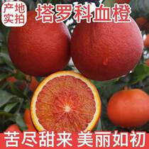 Authentic Sichuan Zizhong Taroko Blood orange fruit Fresh super sweet red meat heart thin skin Hand peeled orange Orange