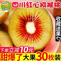 Sichuan Pujiang Red Hearts Kiwi Fruit Fresh Chic Exotic Fruit When Season Fruits Kiwi Red Meat Big Fruit Whole Boxes
