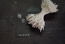 Japan Imports Pour Water Drop Flower Piste Pistachio Flowers DIY Handmade Dyed Bum Material For Flowers