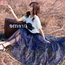 Net gauze half-length ins Super fire skirt fairy light ripe Hepburn Wind Street temperament Imperial sister long skirt summer