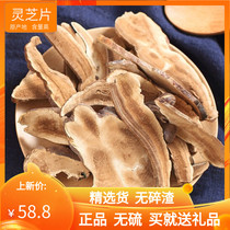 Chinese herbal medicine lingzhi sheet bubble water wild one catty of special grade 500g pure natural purple lingzhi basil