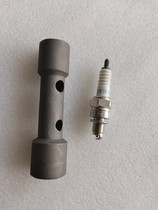 Applicable to Yuncai QS100T 100T-A 100T-B Rui Cai QS125T-4 4B NGK resistance spark plug