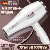 German Hair Dryer Home Hairdresshop Special High Power Hair Salon Speed Dry Cold Hot Wind Dorm Room With Three Inserts Big Wind