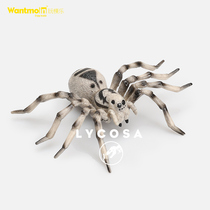 Wantmoin play model children simulation wild animal model insect toy tarantula spider poisonous spider