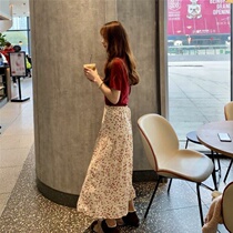 Net red suit female spring and summer new Korean student temperament suit skirt short sleeve cardigan skirt best friend two-piece set