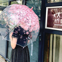 Long Handle Automatic Transparent Umbrella Female Japanese Creative Little Qing in Chuo Umbrella Princess Arch