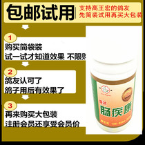 High Wang Hongai Geon Intestine Disease Con 120 Geon Young Pigeon Racing Pigeon Racing Pigeon sacks Accumulate Stagnant Water to Grow Water