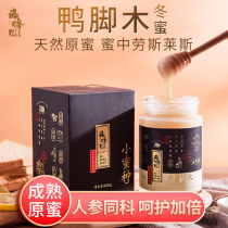 Duck foot wood winter honey 500g eight-leaf five-plus flower honey crystalline honey Farm-produced pure natural mature goose palm wood