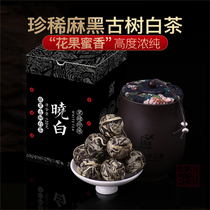 Conning Tea 2016 Black Pot of Pearl-Xiaobai Yi Wu Ma Black Ancient Tree White Tea Dragon Ball 120g Canned