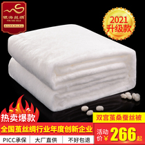 Silver Sea silk silk quilt 100 mulberry silk quilt Mother quilt Xia Liang quilt Spring and Autumn quilt air conditioning quilt core