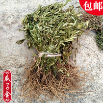 Wild melon seeds gold 500g Farm new dry goods Chinese herbal medicine cinnabar grass hanging rice postpartum grass come horse back