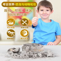 Dinosaur fossil Tyrannosaurus Velociraptor skeleton model children handmade diy archaeological excavation toy set