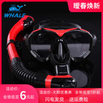 2020 new whale diving mirror breathing tube suit for men and women diving mask swimming front breathing tube gear