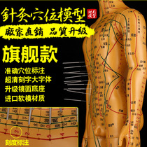 Human acupuncture model meridian points Copper man massage massage practice Soft silicone small model soft type can tie needles
