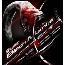  3 4 generations of black plums Poli BonnyBACK MAMBA X 2 AK Badminton Racket