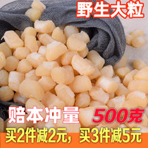 Clean sand-free wild Yaozhu scallops 500g dry goods seafood big scallops self-drying Yuanbei