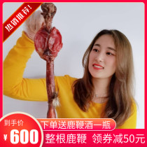 Old Cui head deer whip pruned adult dry deer whip Male tonic wine material Jilin Sika deer Red deer