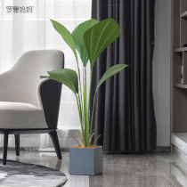 Roman Mom Potted Balcony Living Room Living Room Floor Home Decoration Large Simulation Green Plant Sumatran Brown Fake Plant