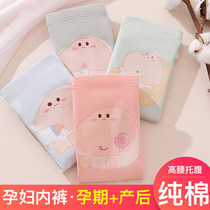 Pregnant women underwear cotton high waist belly adjustable size maternity underwear pregnant women shorts