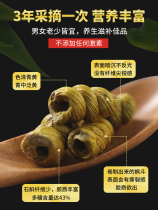 Bionic Huoshan iron dendrobium powder Maple bucket particles Dried strips Fresh strips flower tea health gift box premium seedlings