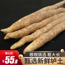 Thick and long fresh Jiaozuo hardcore authentic Wenxian iron stick Yam soil yam Henan Huaishan about 5kg baked Yam