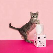 The official authorized Laduree French noble scented candle soothing mood fragrance special series