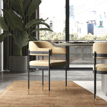Light luxury modern stainless steel dining chair American minimalist home back chair Nordic designer hotel coffee lounge chair