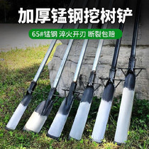 Iron handle small multi-purpose orchard shovel Tree shovel Soil shovel Luoyang shovel Agricultural tools shovel Agricultural users outside