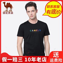 Camel Camel winter short sleeve mens round neck base standard mens hipster T-shirt X9B274135