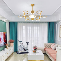 2020 new net red living room chandelier modern simple light luxury remote control smart restaurant light combination whole house package