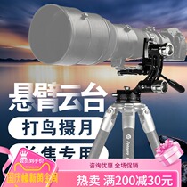 Futubao Golden Eagle Cantilever E-6H E7 E-9H bird telephoto E6 E7 E9 tripod pan tilt