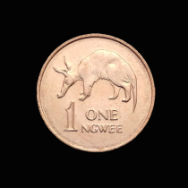 New Zambia 1 Enwei coin foreign coin year random