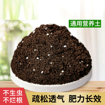 Green Luo household nutrient soil soil flower planting special type flower Potted organic planting soil flower mud