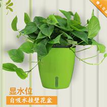 Wall hydroponic flower pot hanging wall flower pot wall hanging hydroponic plant hydroponic plant water-raising thick small vase