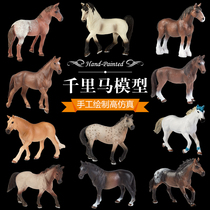 Childrens simulation animal toy model wild simulation decoration Maxima Mustang model horse toy 3-6-9 years old