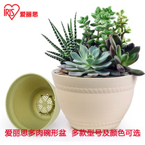Alice flowerpot resin plastic tabletop potted succulents green roe thickened color bowl-shaped flowerpot Alice
