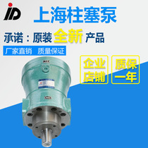 Factory direct low noise 160MCY 160MCY14-1B quantitative axial piston pump High pressure piston pump