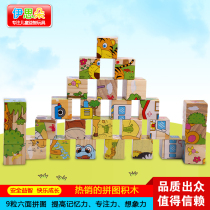 Wooden six-sided painting 9 pieces puzzle childrens 3D three-dimensional building blocks made of baby and toddler educational toys 3-4-5-6 years old