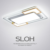 Living room lamp modern luxury style black and white generous creative super bright apartment Hall minimalist home flat ceiling lamp