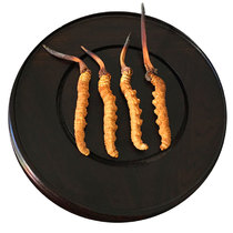Lingyu Cordyceps sinensis Qinghai Yushu authentic wild Cordyceps 1 gram 4 roots Dongworm sinensis Shunfeng