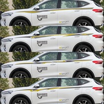 Haver F7 car sticker pull flower VV7 body sticker F5 body special color strip modified decorative waist line decal