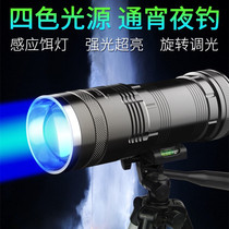 Dimmable fish light Tripod hook fish strong fishing night fishing light Blue light night flashlight Multi-function table fishing floor waterproof