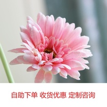 Modern minimalist fashion Crystal glass vase Home Affordable Durable African Chamomile Flower Table Small Flower Inserts