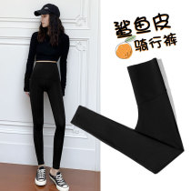 Shark pants matte leather leggings womens pants wear autumn and winter plus velvet slim high waist abdomen elasticity non-spinning fat m