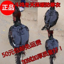 Cockfighting free shipping Cockfighting cold clothes Velvet thickened chicken clothes Cockfighting warm clothes Cockfighting supplies