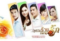 DVD version Thailand Evil Rose Love] Thai Chinese characters All 11 episodes 2 discs